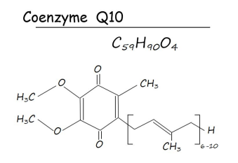 One of  the most important ingredients