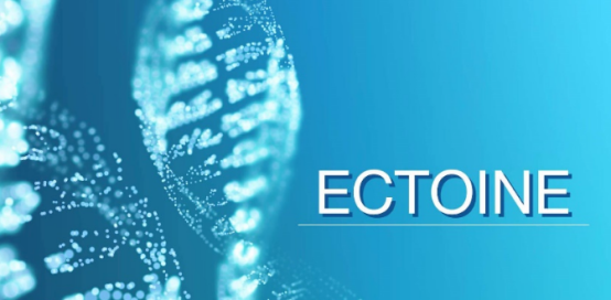 Ecdoin