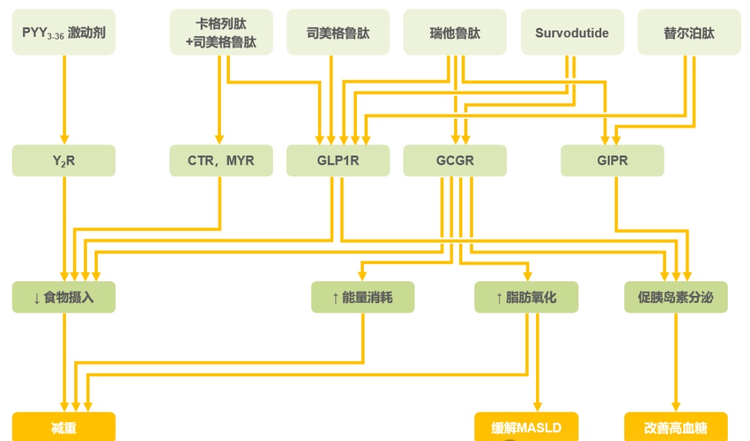 药物作用靶点