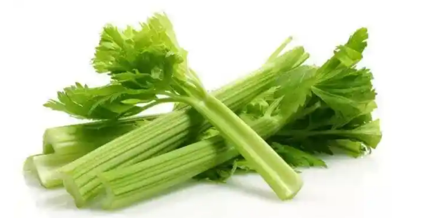 芹菜的照片