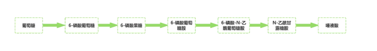 唾液酸体内合成过程图