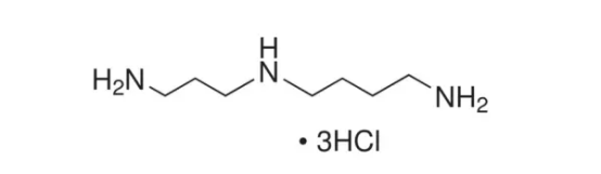 Spermidine formula