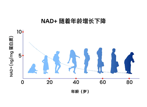 NMN supplementation