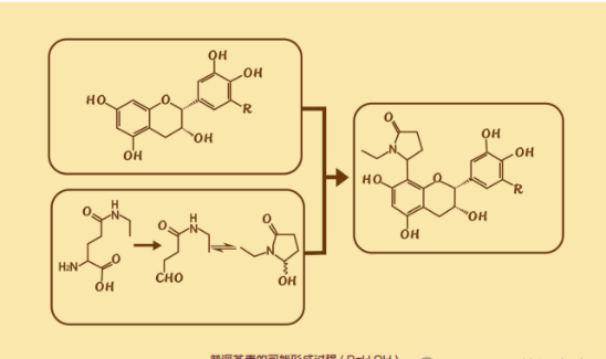 普洱茶素Ⅰ-Ⅷ分子结构式（R=H,OH）