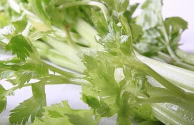芹菜素