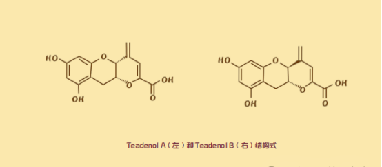 Teadenol A（左）和Teadenol B（右）结构式
