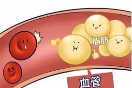 神经酸降血脂