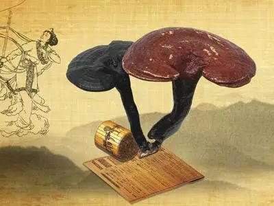 灵芝多糖