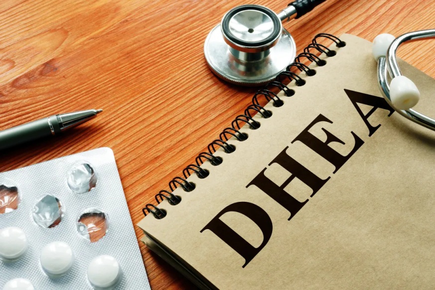 DHEA（去氢表雄酮）